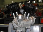 Flathead