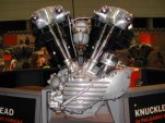 Knucklehead